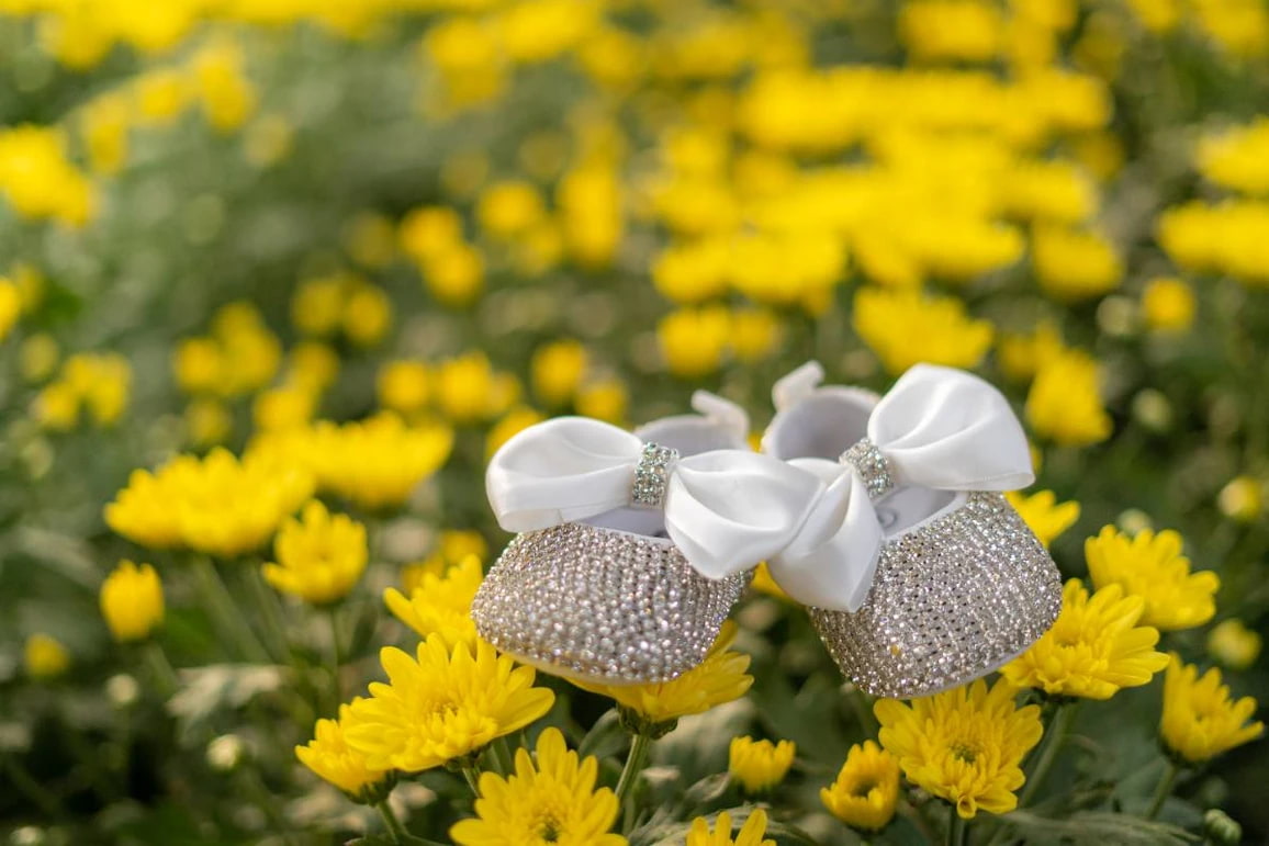 dfb319_e4f0f786ad1d41bbbafa855c9c30f99b~mv2