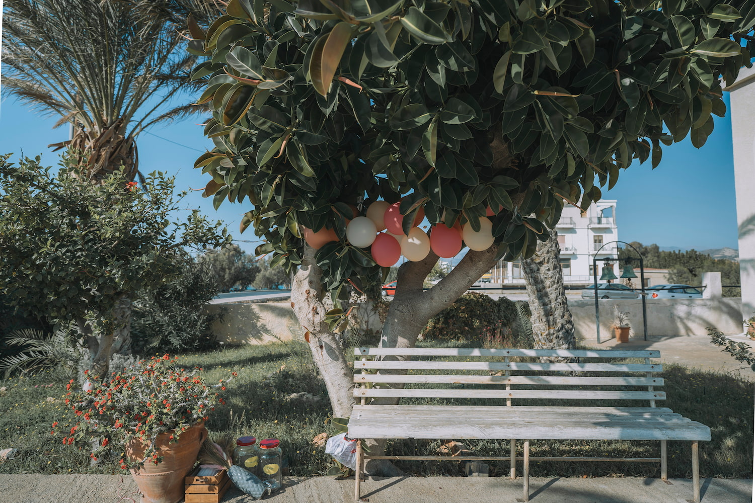 Μελίνα (1 of 891)